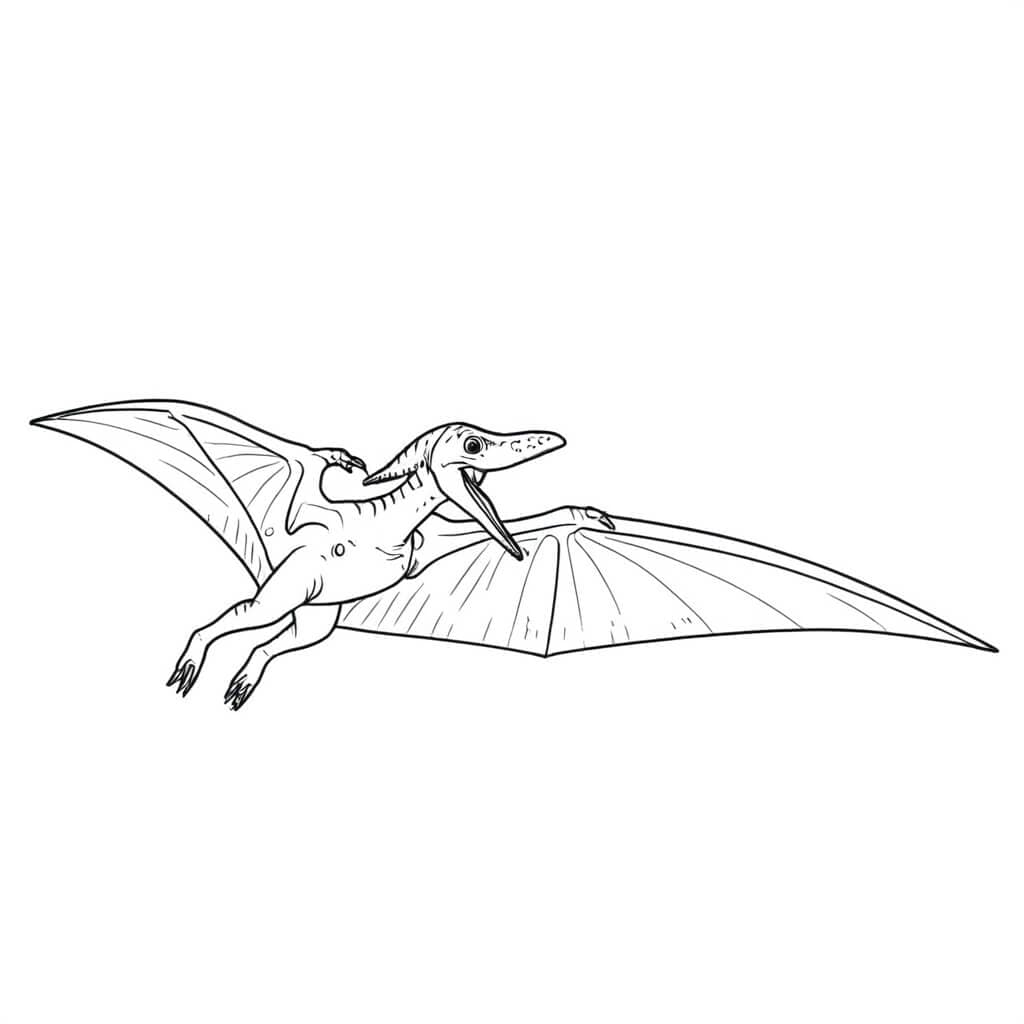 Pterodattilo da colorare