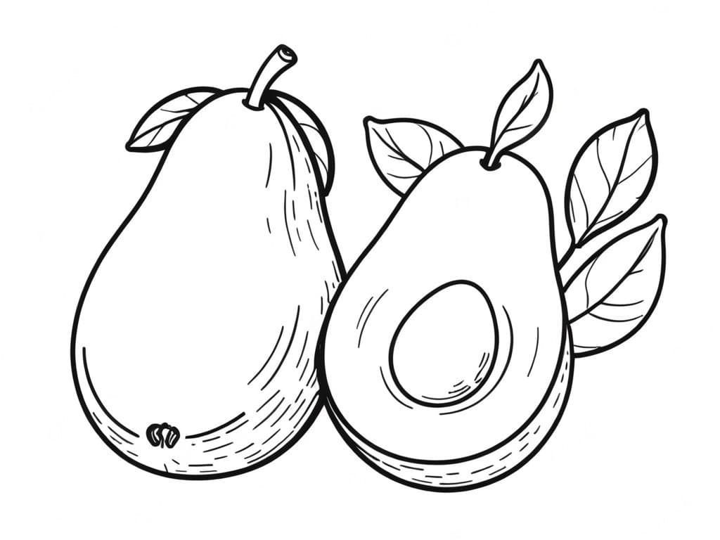 Avocado da colorare