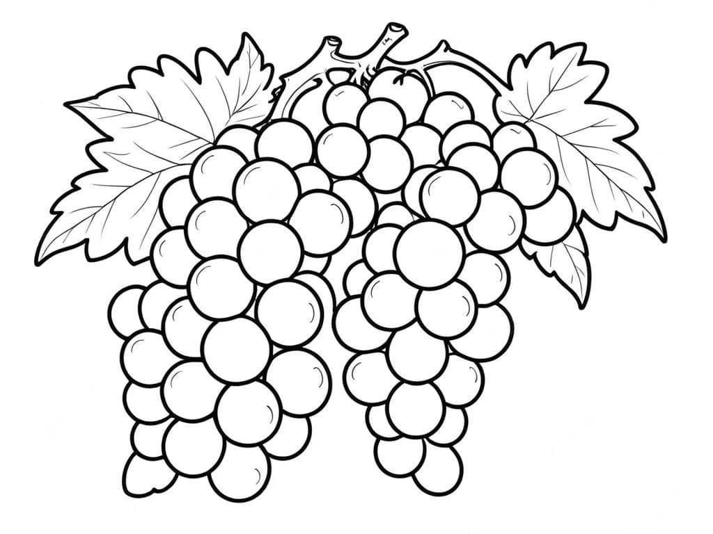 Uva da colorare