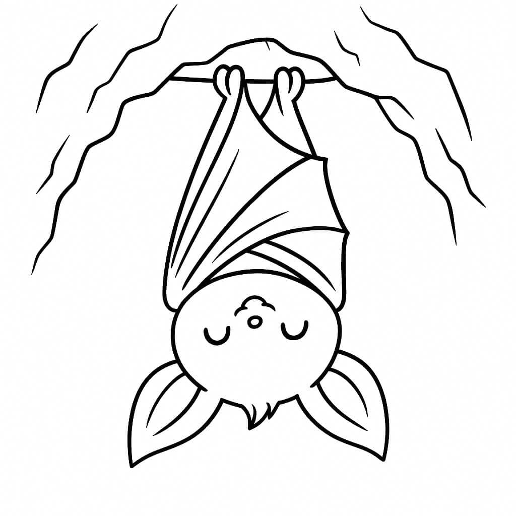 Baby pipistrello in grotta da colorare