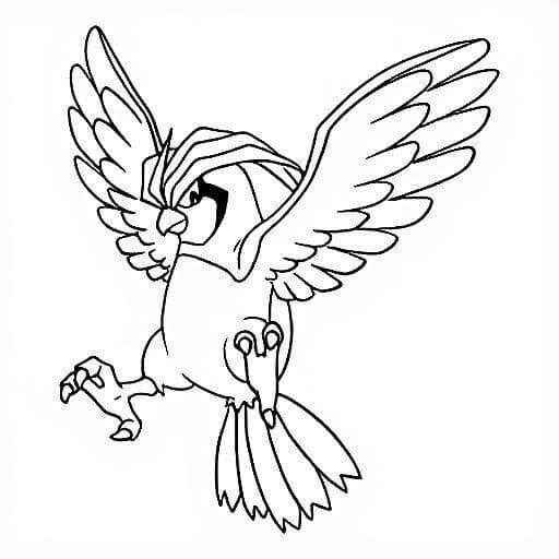 Pidgeotto da colorare